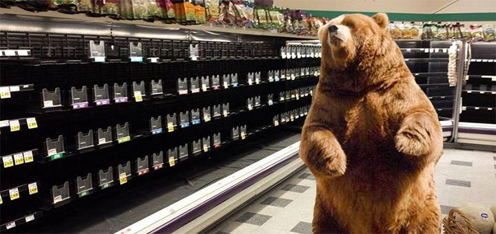 In this photo provided by animal control, a brown bear is seen haunting a dairy aisle in the shuttered Sweetbay at Four Corners.